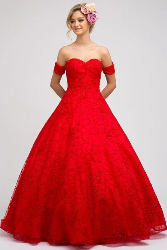 Maternity dress for a baby's first visit to the bird sanctuary Quinceanera Prom Long Strapless Lace Ball Gown